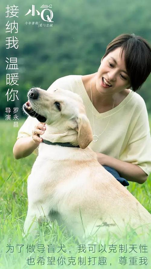 宏景大学文凭毕业证假的多少钱